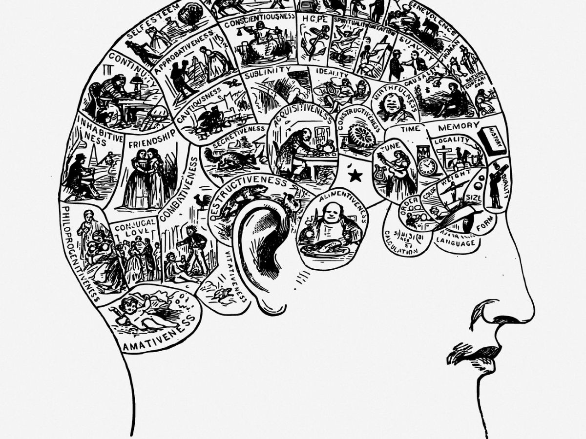 TOK 101: The knowledge framework explained with&nbsp;examples